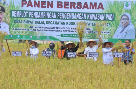 Potensi Wilayah Pertanian Kabupaten Kampar